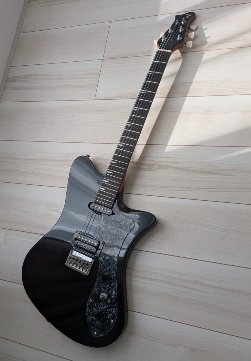 ギター Ryoga SKATER LE Ryoga SKATER/LEをレビュー！ | AYG