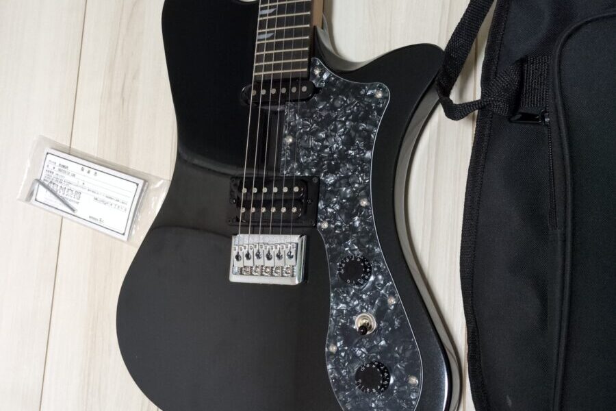 Ryoga SKATER/LEをレビュー！ | AYG